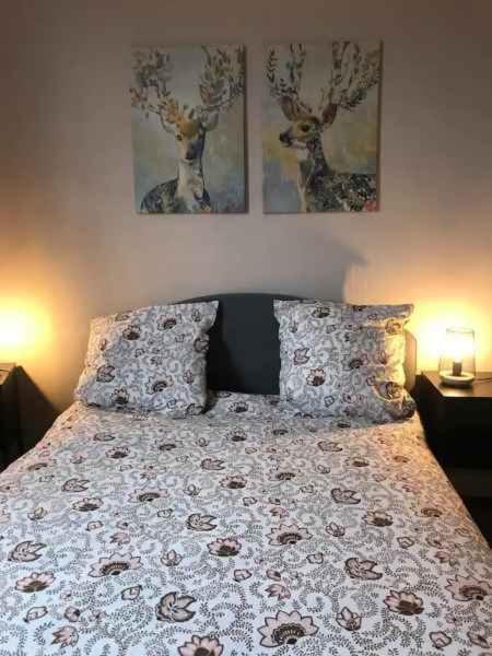 קלרמונט-פרנד Bel Appartement Hypercentre T3/70 M2 מראה חיצוני תמונה